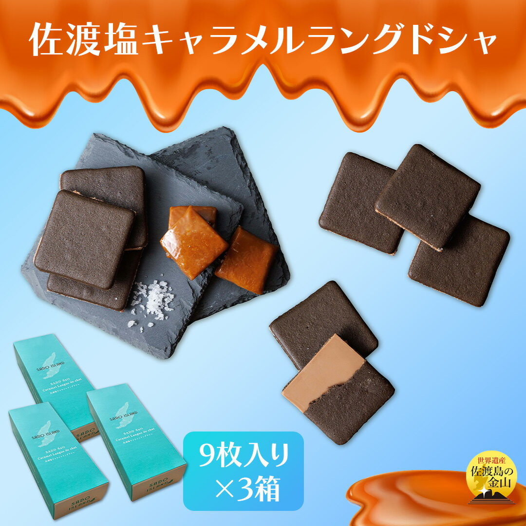 【ふるさと納税】佐渡塩キャラメルラングドシャ　佐渡のめぐみ～深海塩使用～　9枚入り×3箱 | 菓子 おかし スイーツ デザート 食品 人気 おすすめ 送料無料