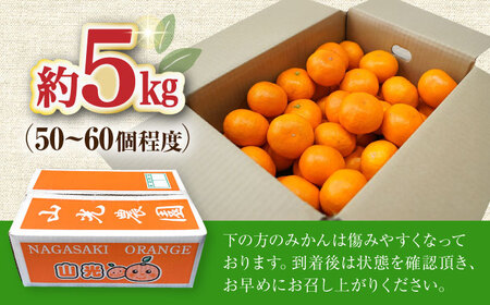 〈先行予約〉【11月中旬頃～1月中旬配送】長崎県産 温州みかん 約5kg / みかん 柑橘 5kg フルーツ 果物 / 大村市 / 山光農園[ACAI002]