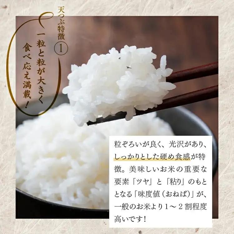 【令和8年産】【全4回定期便】米　国見町産　天のつぶ 5kg（5kg×1袋） 4回定期便 ※2026年10月～発送