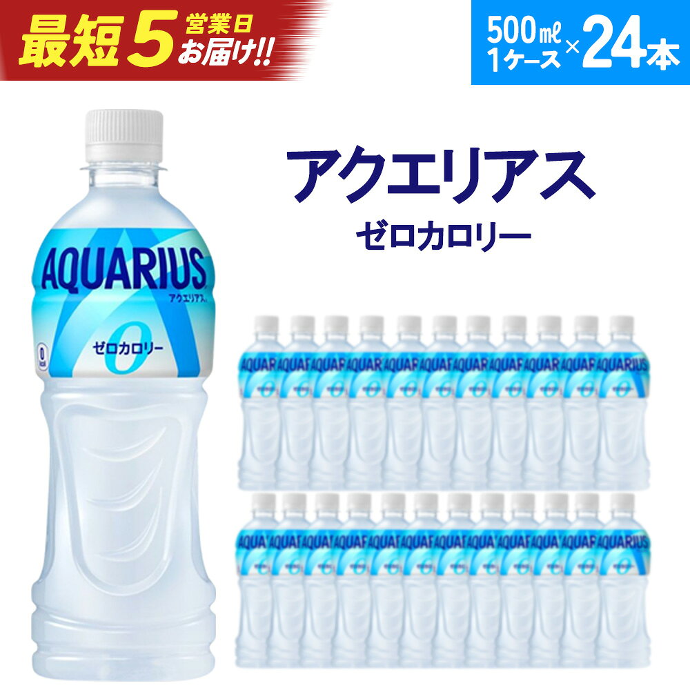 【ふるさと納税】アクエリアスZERO 500ml PET　【04301-0532】
