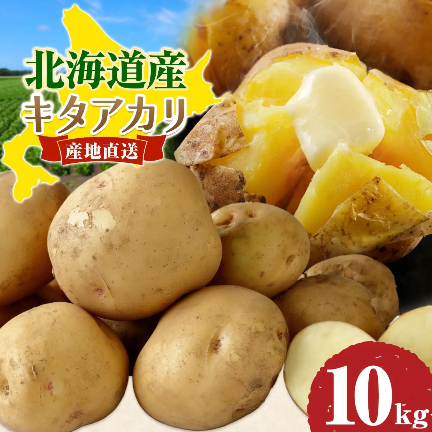 北海道産じゃがいも キタアカリ 10kg 高橋賢三 《2026年10上旬-11月上旬出荷》 