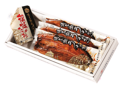 うなぎ 長蒲焼 約120g×3尾 定期便 6ヶ月 うなぎ