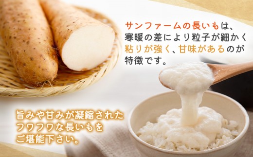 ＜先行予約＞長いも 10kg