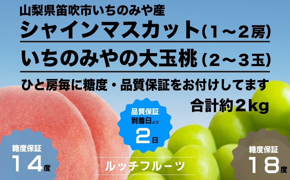 
                  【2026年発送★先行予約】【全てに糖度保証付】大玉桃・シャインマスカット詰合せ 合計約2kg＜数量限定＞全国桃選手権『銀賞』受賞桃【ルッチ Rucci】産地直送 山梨県 笛吹市 いちのみや 一宮 大玉桃 果物 もも 葡萄 ぶどう 贈答 人気 ギフト 詰合せ ランキング リピート 高評価 ギフト 贈答 贈り物 化粧箱 期間限定 令和8年 2026年 104-064
                