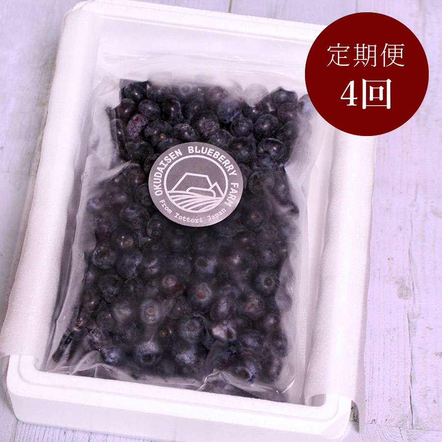 【定期便4回】奥大山産冷凍ブルーベリー1kg(12月開始)