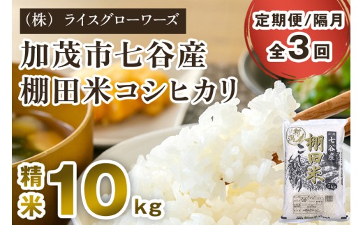 【令和7年産】【定期便3回隔月お届け】新潟県加茂市 七谷産 棚田米コシヒカリ 精米10kg（5kg×2）《順次出荷》 白米 （株）ライスグローワーズ 定期便