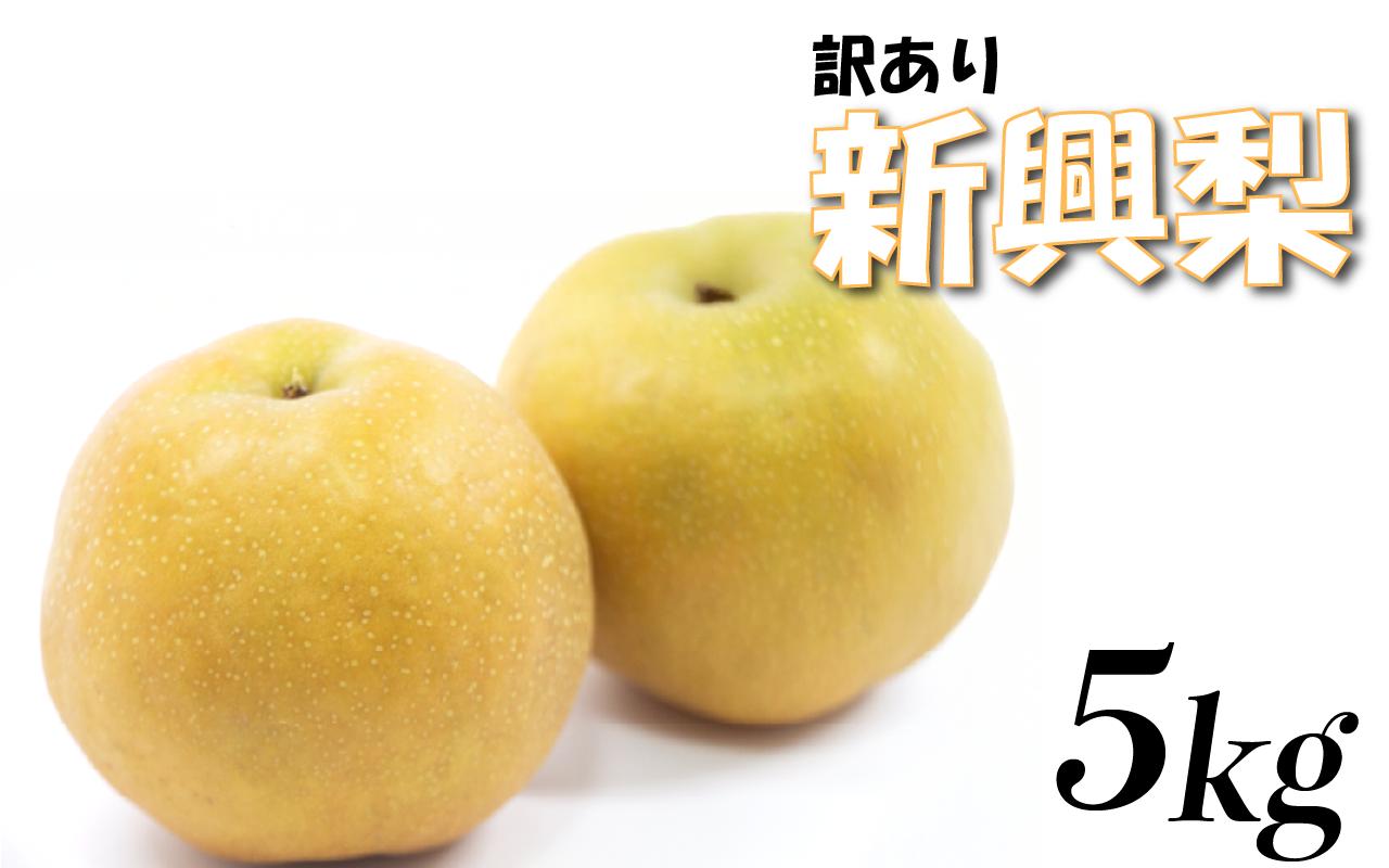 
                  【先行予約】（訳あり）中野農園 梨 ”新興梨” 5kg箱｜鳥取 岩美 梨 なし ナシ 赤梨 果物 フルーツ ※お届けは2026年11月以降【41048】
                