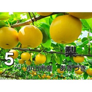 【5kg】栃木県小山市産　あきづき　梨【1617301】