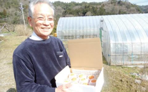 とっさんの真っ赤っかオレンジ（ブラッドオレンジ：モロ種）（配達指定日不可）【ブラッドオレンジ 2箱 3kg～4kg 果物 フルーツ くだもの ジュース スムージー】