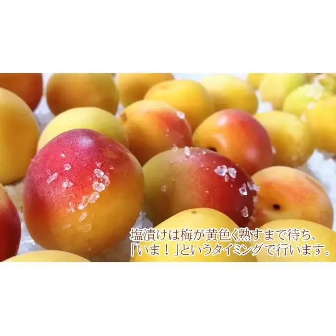 梅干し 一級品 1.2kg （簡易梱包）　ご飯のお供 肉厚 種が小さい 紅映 天然塩 鮮やか 芳醇な香り コク 紫蘇漬け 二度漬け すっぱい