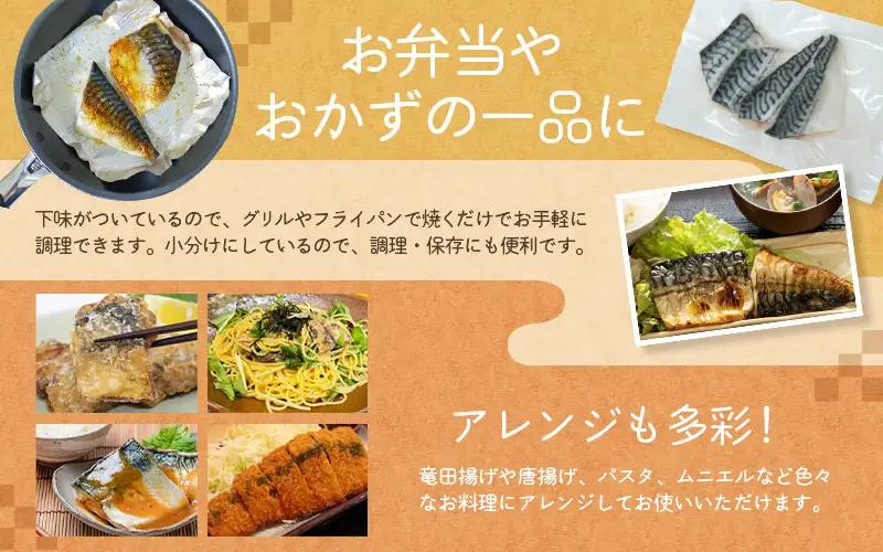 さば 骨無し 無添加 切身 塩さば 約1.25kg（250g×5パック 20枚）【nss501C】