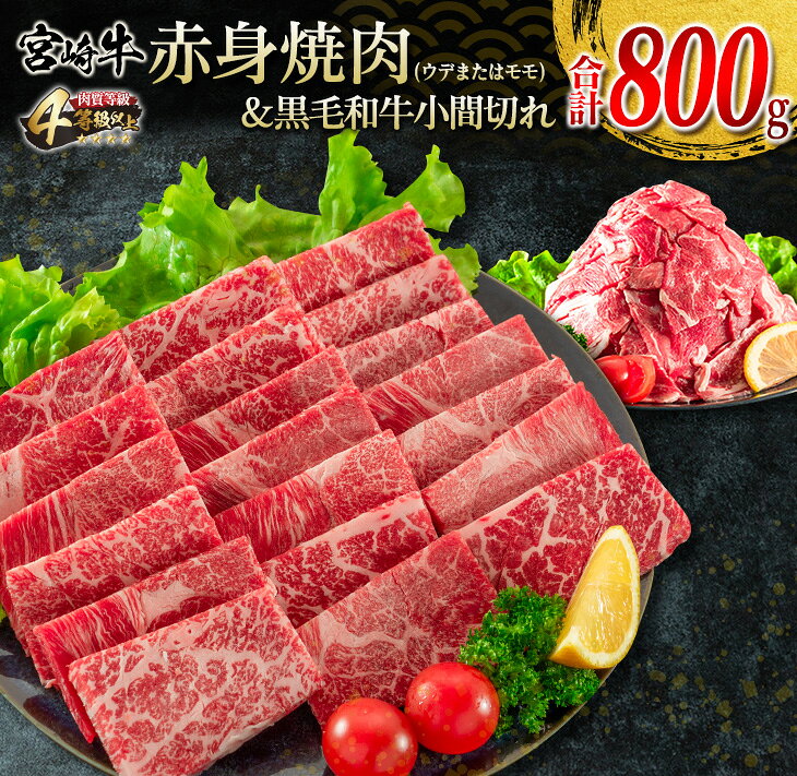 【ふるさと納税】宮崎牛 赤身 焼肉 黒毛和牛 小間切れ セット 合計800g 牛肉 ビーフ 国産 うで もも ブランド牛 おすすめ 万能食材 食品 お取り寄せ グルメ 詰め合わせ ご褒美 お祝い 記念日 おかず 弁当 おつまみ BBQ 鉄板焼き おすそ分け 宮崎県 日南市