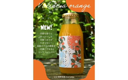 定期便（2カ月ごと全６回） 小田原産江之浦みかんジュース３種のみくらべ３０本セット うんしゅう・なつみ・バレンシアオレンジ１００％ストレートジュース１８０ml各１０本合計３０本【 神奈川県 小田原市 