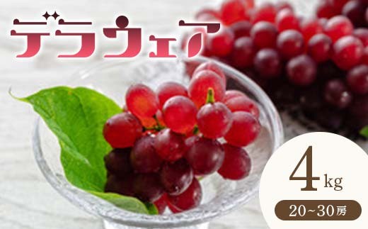 
《先行予約 2025年度発送》 デラウェア 約4kg 20～30房 FSY-0704
