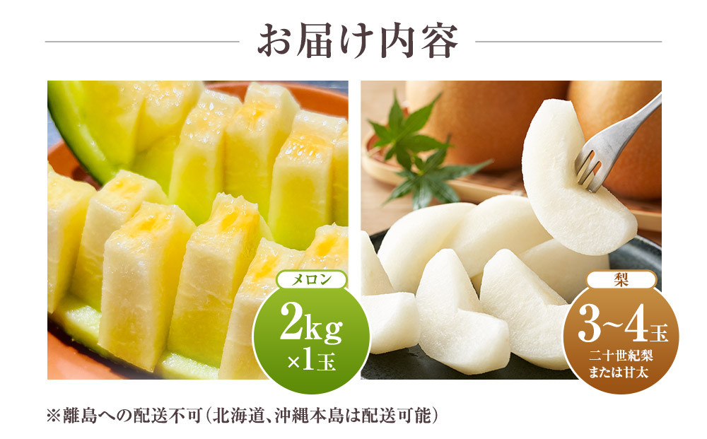924.【ふるさと納税】【青肉系メロン】ディーバ（メロン）と旬の梨セット※離島への配送不可（北海道、沖縄本島は配送可能）
