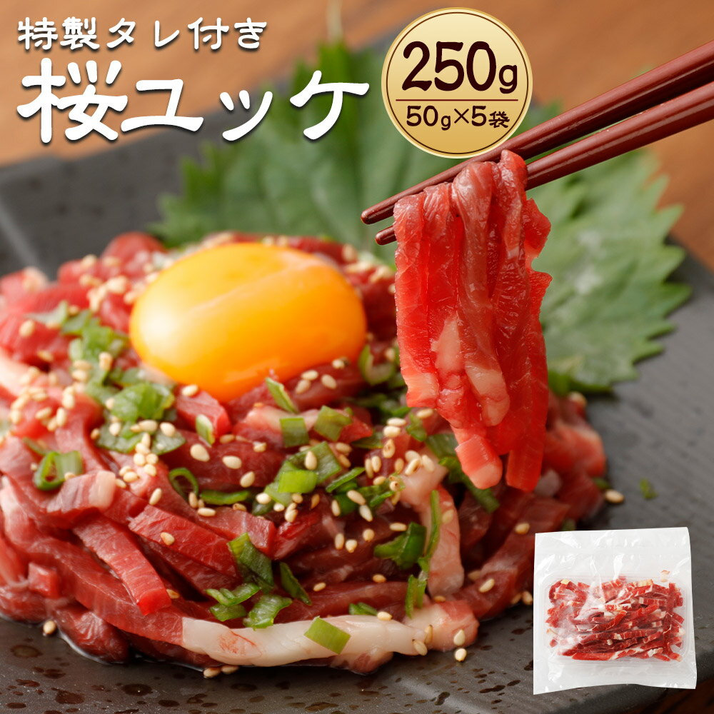 【ふるさと納税】特製タレ付き 桜ユッケ 合計250g 50g×5パック たれ付き 冷凍 馬ユッケ 馬肉 ユッケ タレ 個包装 小分け 熊本 九州 送料無料