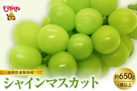 【2026年産　先行予約】山形県東根市産　シャインマスカット　約650ｇ　hi074-015　令和8年産 2026年産 ふるさと納税 フルーツ 果物 くだもの　シャインマスカット 期間限定 冷蔵配送 先行予約 先行受付 取り寄せ グルメ ご当地 特産 産地 直送 送料無料 東北 山形 東根市 人気