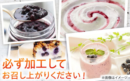 佐々町産訳あり冷凍ブルーベリー1kg[QAT019]
