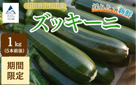 ズッキーニ 約1kg (5本前後) | 石川県 小松市 JAあぐり