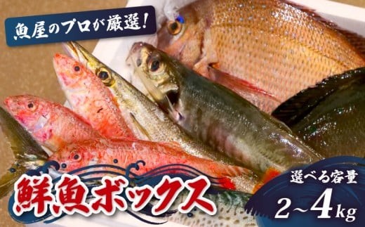 
                  鮮魚BOX 2～4kg 刺身 刺し身 旬 海鮮 鮮魚 魚介 焼き 煮付け 炙り カルパッチョ 寿司 丼 おつまみ おかず ご飯に合う 米に合う コメに合う 家庭用 父の日 高級 冷蔵 高知県 須崎市 土佐 須崎魚商人組合 GK007-all
                