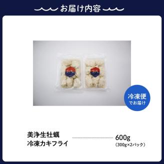 【定期便 12か月】中野水産 美浄生牡蠣 冷凍カキフライ