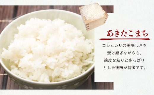 あきたこまち 10kg