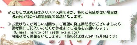 クリスマスリース・ラージ【クリスマス限定！申込は12月1日まで】