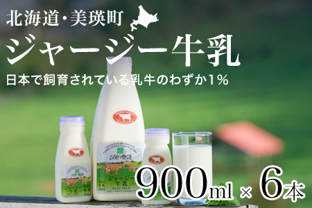 牛乳 ジャージー牛乳 900ml × 6本 北海道 牛乳 ファームズ千代田