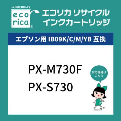 ふるさと納税 富士川町 エコリカ【エプソン用】IB09CL4B互換リサイクルインクECI-EIB09B-4P |  | 01