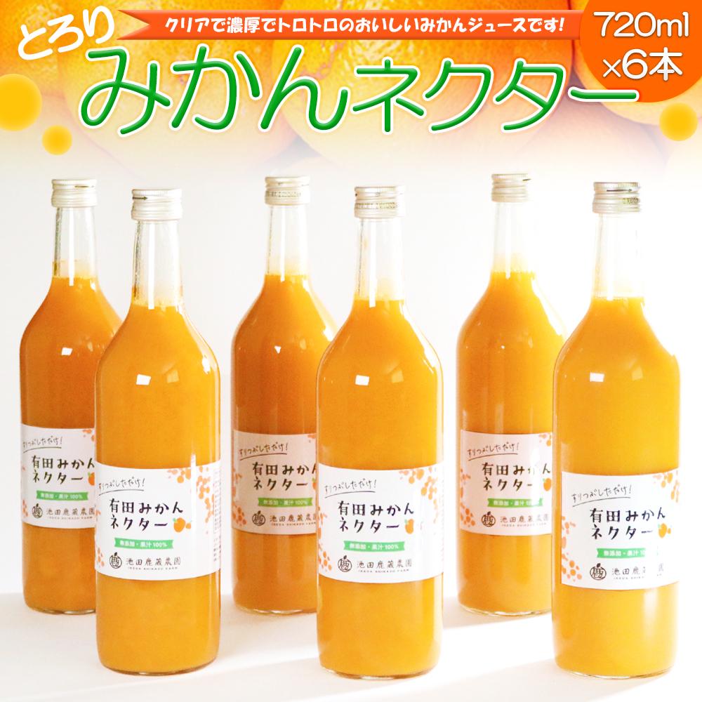 【ふるさと納税】とろり　みかんネクター720ml×6本 | フルーツ 果物 くだもの 食品 人気 おすすめ 送料無料