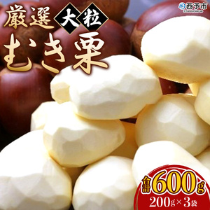 【先行予約】＜厳選 大粒むき栗 合計600g（200g×3袋）＞ くり 生栗 剥き栗 マロン フルーツ 果物 モンブラン 栗ご飯 栗きんとん 栗の甘露煮 秋の味覚 特産品 国産 宇都宮物産 愛媛県 西予市【冷蔵】『2026年10月上旬～10月下旬迄に順次出荷予定』UUB0043