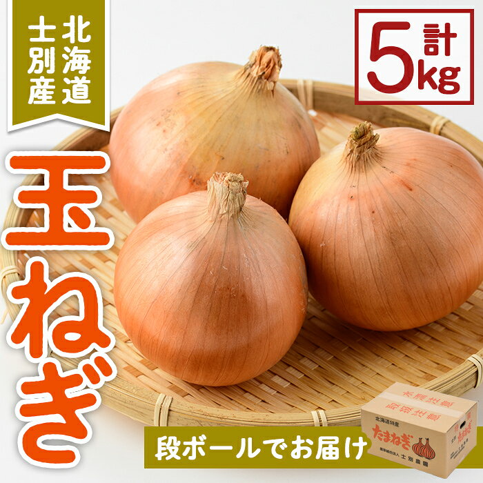 【ふるさと納税】＜先行予約受付中＞《数量・期間限定》北海道士別産 玉ねぎ(5kg)【2026年10月中旬以降順次発送】 たまねぎ 玉葱 5kg 野菜 北海道産 士別市産 料理 オニオン 【士別農園】