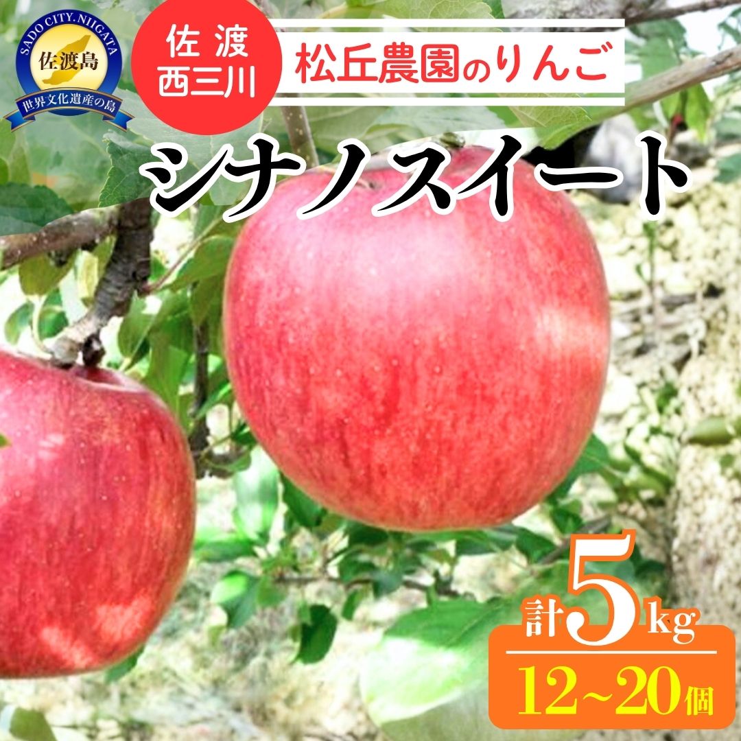 【10月上旬以降発送】佐渡 西三川・松丘農園のりんご「シナノスイート」12個から20個 計5kg196042-0006