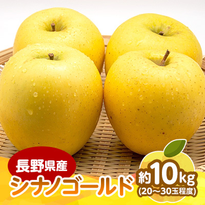 【2025年発送】　長野県産 りんご　シナノゴールド　約10kg(20～30玉程度)【1541955】
