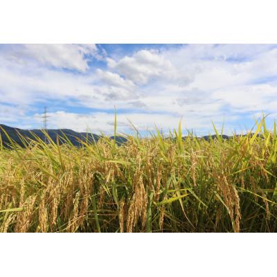 ふるさと納税 白山市 特別栽培米　比〓の米(白山麓コシヒカリ)精米5kg |  | 01