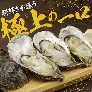 SF0370　天然岩牡蠣　計3kg以上(9～12個入)
