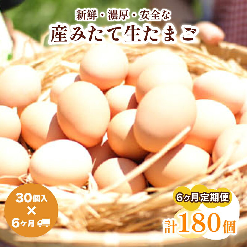 【ふるさと納税】 たまご 卵 定期便 6ヶ月 分 30個 × 6ヶ月 計 180個 ( 26個 ＋ 割れ保障 4個 ) ×6ヶ月分 玉子 産みたて 国産 新鮮 卵かけご飯 大容量 生 卵 鶏 天然 すき焼き 目玉 焼き 下関 豊北 山口