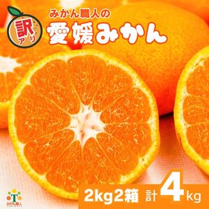 訳あり 愛媛みかん 2kg 2箱 計4kg 【発送期間：9月中旬から1月中旬】 国産みかん 温州みかん 柑橘 果物 フルーツ 甘いみかん おすすめみかん みかん職人武田屋 愛媛県 愛南町