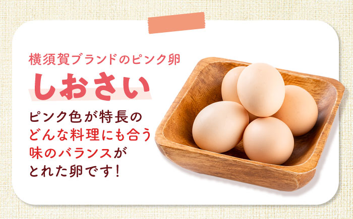【全6回定期便】安田養鶏場の卵 3種セット しおさい アトムくん タフラン 30個入り（各10個入り） 横須賀市 産地直送 たまご 黄身 濃厚 卵 玉子 タマゴ 鶏卵  【安田養鶏場】 [AKHN01