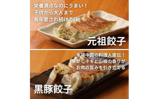 26ぎょーざやさんの餃子詰め合わせセット　（2種　元祖＋黒豚　計108個）（027_5028）※北海道・沖縄・離島への配送不可