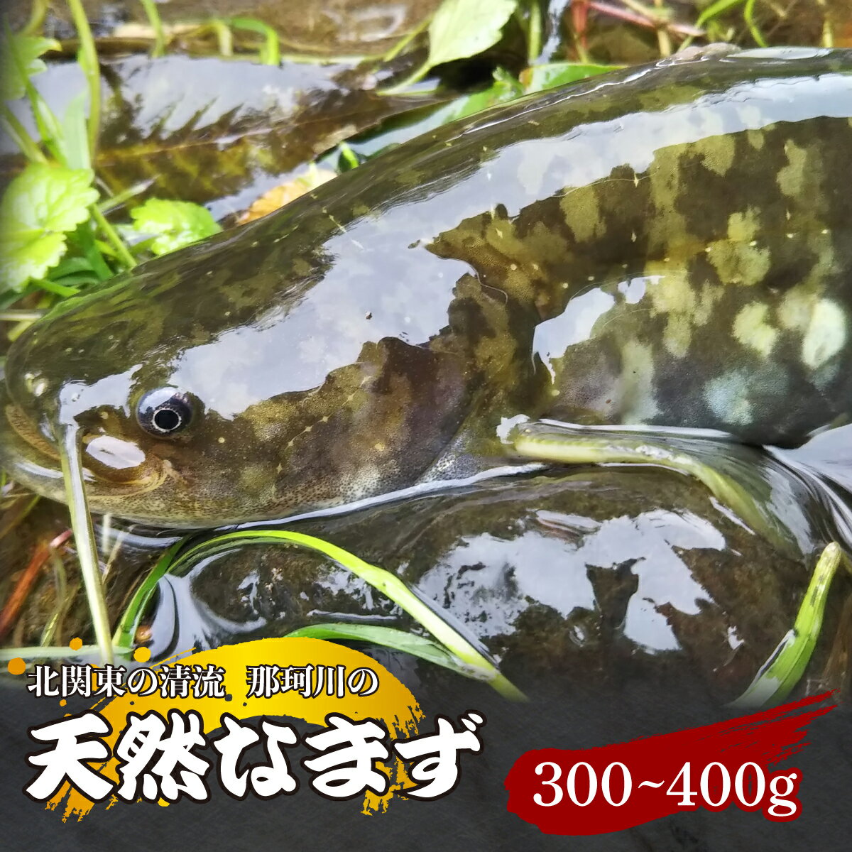 【ふるさと納税】天然なまず(切り身) 北関東の清流「那珂川産」 300g～400g 真空冷凍 | 天然 鯰 ナマズ 鮮魚 新鮮 北関東 清流 天ぷら から揚げ 味噌漬け焼き アヒージョ Riverline 栃木県 茂木町
