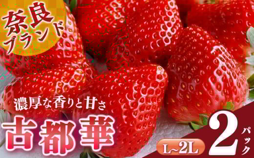 【選べる内容量】平群の古都華 L～2Lサイズ （2パック 1ケース）計2パック 阪野農園 | 果物 くだもの フルーツ 苺 イチゴ いちご ストロベリー 古都華 ことか 旬の品種 産地直送 奈良県 平群町