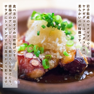 やわらか 地たこ 唐揚げ 250g×4 (計1kg) カット済み ヤナギダコ たこ 蛸 冷凍