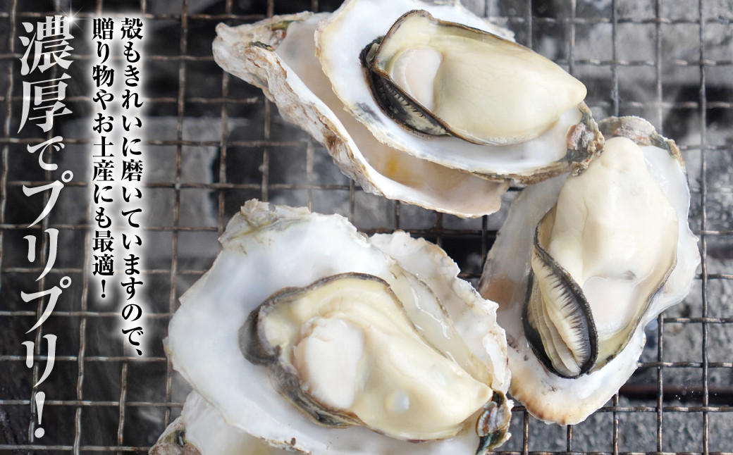 殻もきれいに磨いていますので、贈り物やお土産にも最適！