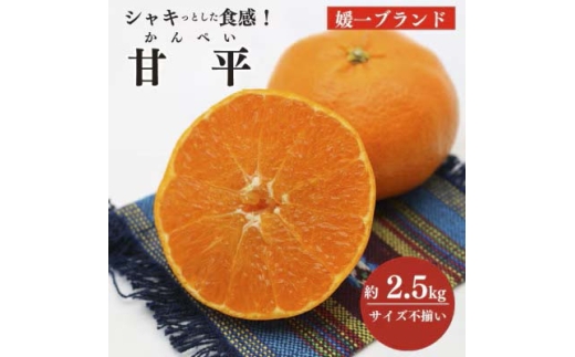 【先行受付】愛媛の高級柑橘の一つ!「甘平(かんぺい)」約2.5kg入【訳あり】【C28-41】【1437357】 YWTN028
