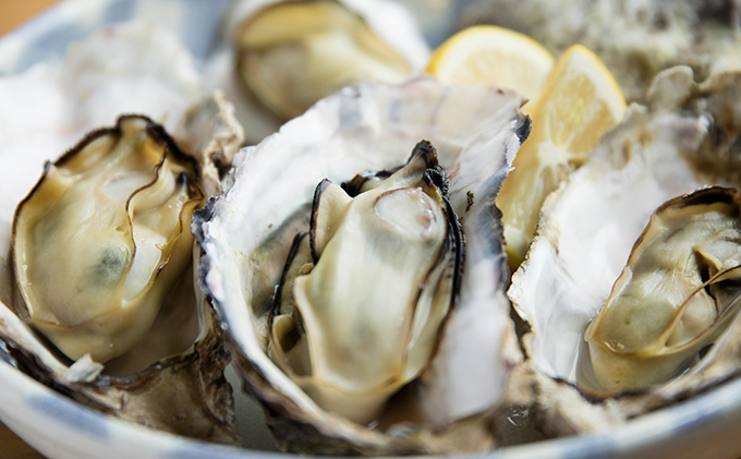 牡蠣 2026年先行予約 モリ旬 牡蠣 殻付き 約3kg 岡山県 瀬戸内市 虫明産 魚貝類 生牡蠣 かき 魚介類 カキ 