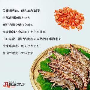 【冷凍】 海老4種食べ比べセット | 車海老 車海老 車海老 車海老 山口県 宇部市