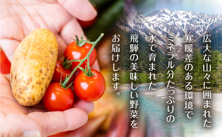 【4回定期便】飛騨の四季のお野菜 旬定期便　4回お届け 旬の新鮮 野菜セット (5～6品)