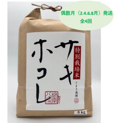 ふるさと納税 大潟村 【発送月固定定期便】偶数月発送 特別栽培米サキホコレ5kg全4回