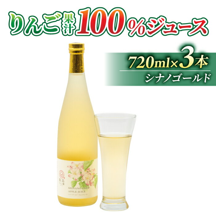 【ふるさと納税】りんごジュース（シナノゴールド）3本｜飯島りんご園